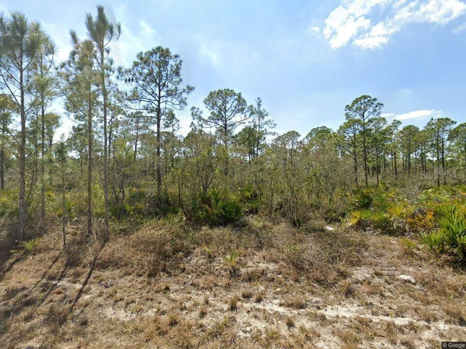 1140 Heron Street Lake Placid FL 33852
