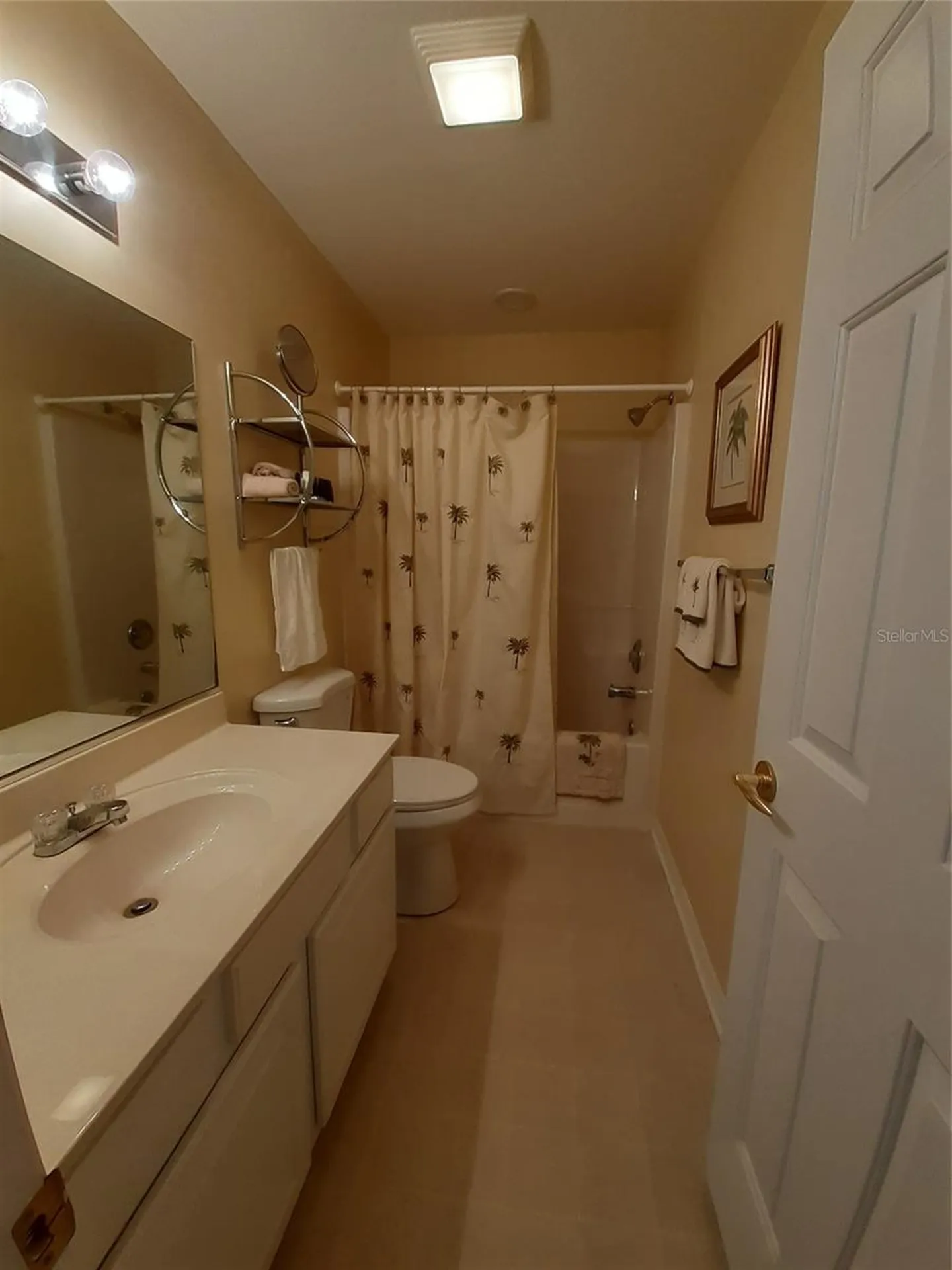 11655 SW 140th Lane Dunnellon FL 34432