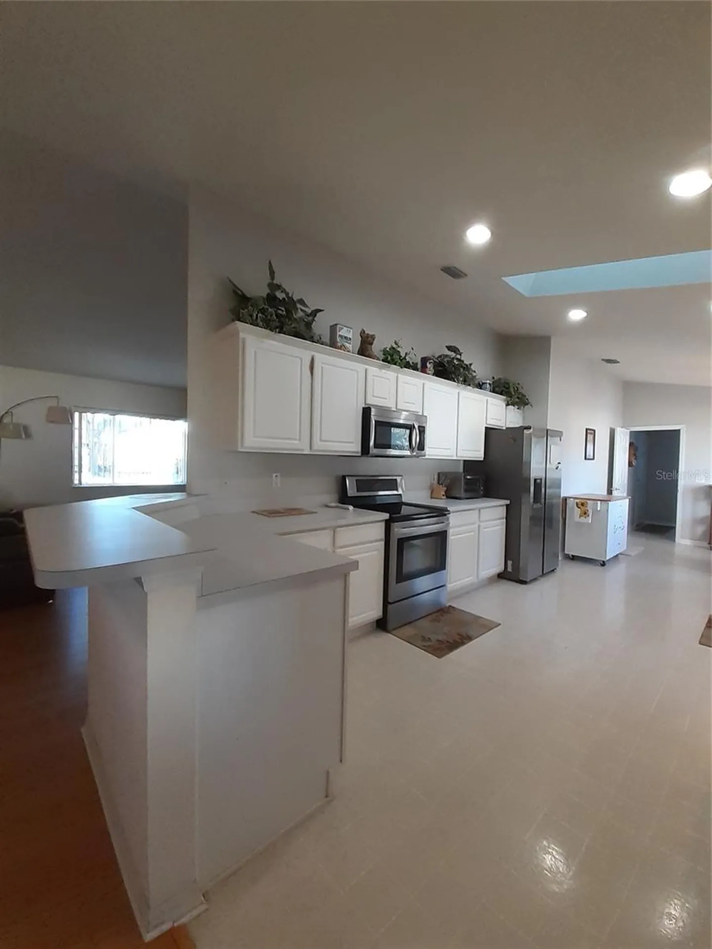 11655 SW 140th Lane Dunnellon FL 34432