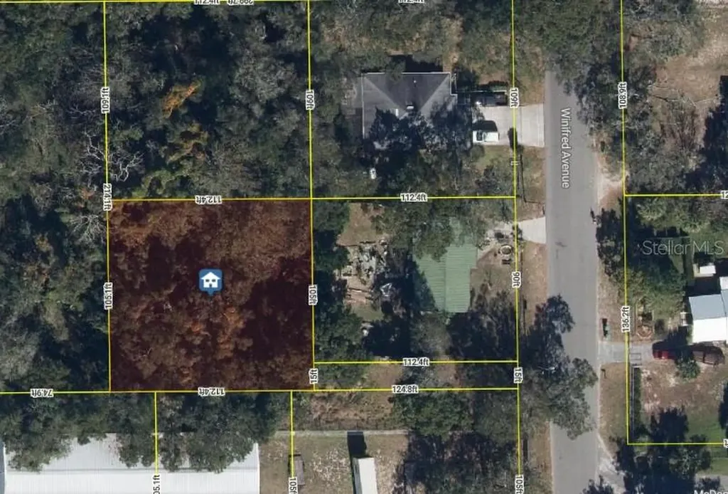 2834 Winifred Avenue Zellwood FL 32798