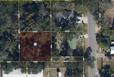 2834 Winifred Avenue Zellwood FL 32798