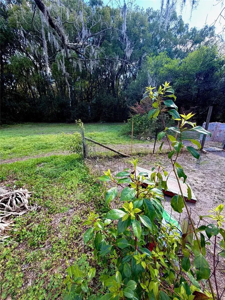 25327 NE State Road 26 Melrose FL 32666
