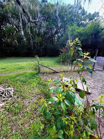 25327 NE State Road 26 Melrose FL 32666
