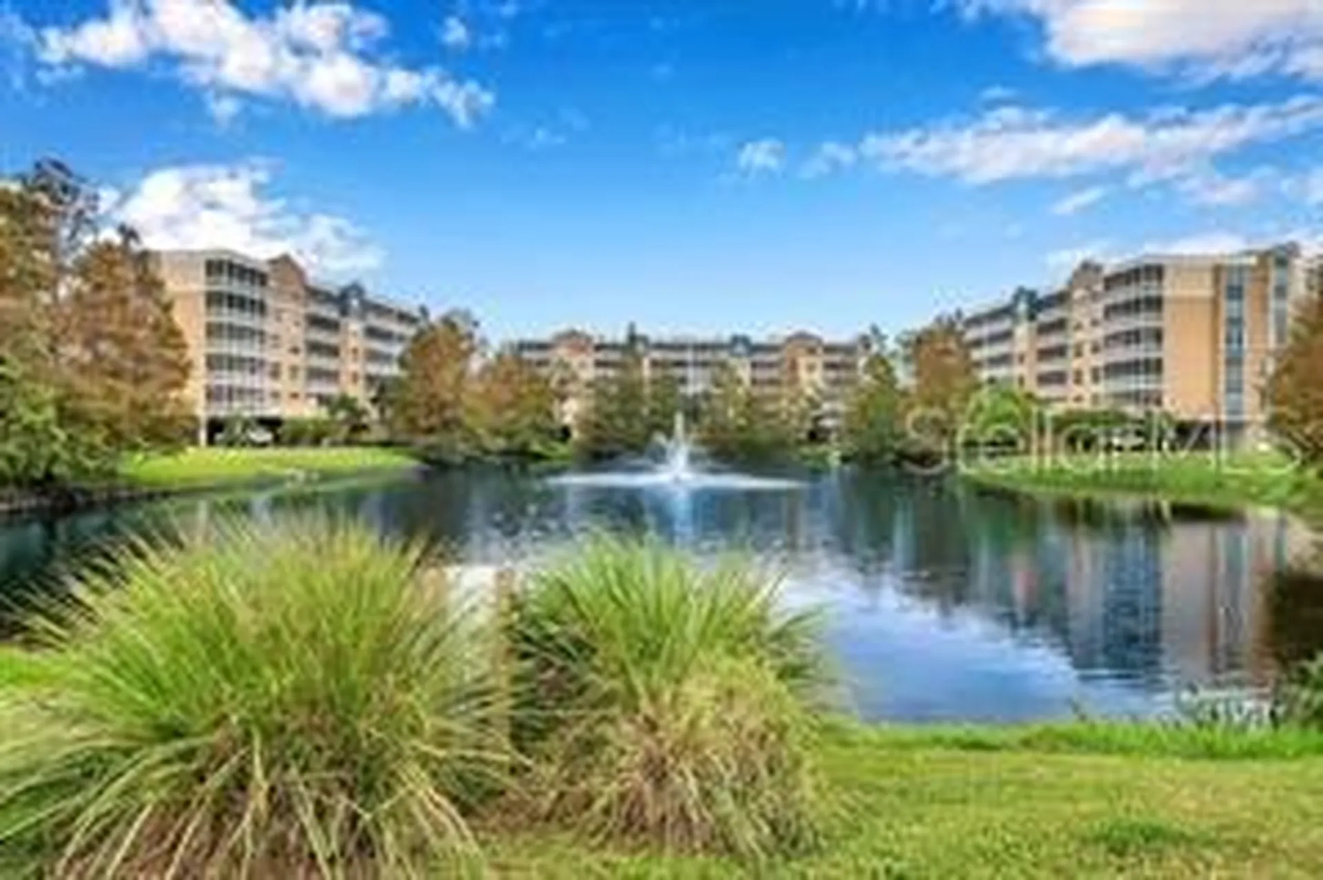 960 Starkey Road Largo FL 33771