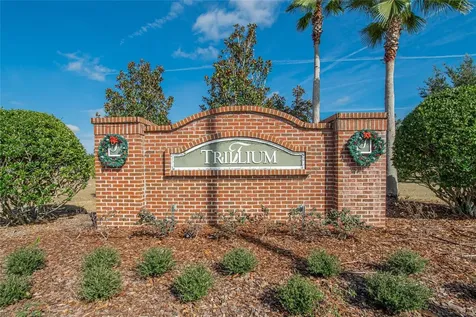 653 Petal Mist Lane Brooksville FL 34604