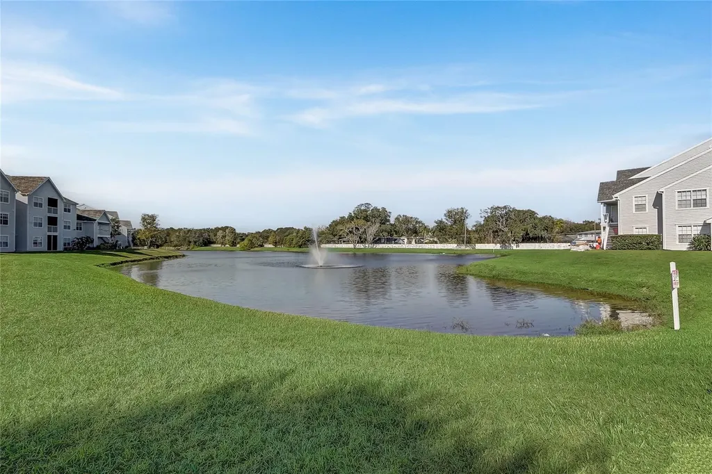 1229 Bermuda Lakes Lane Kissimmee FL 34741