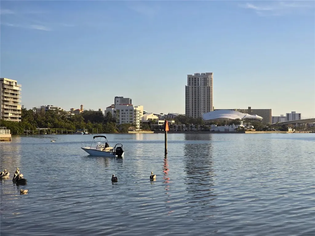 1008 Hawkins Street Clearwater FL 33756