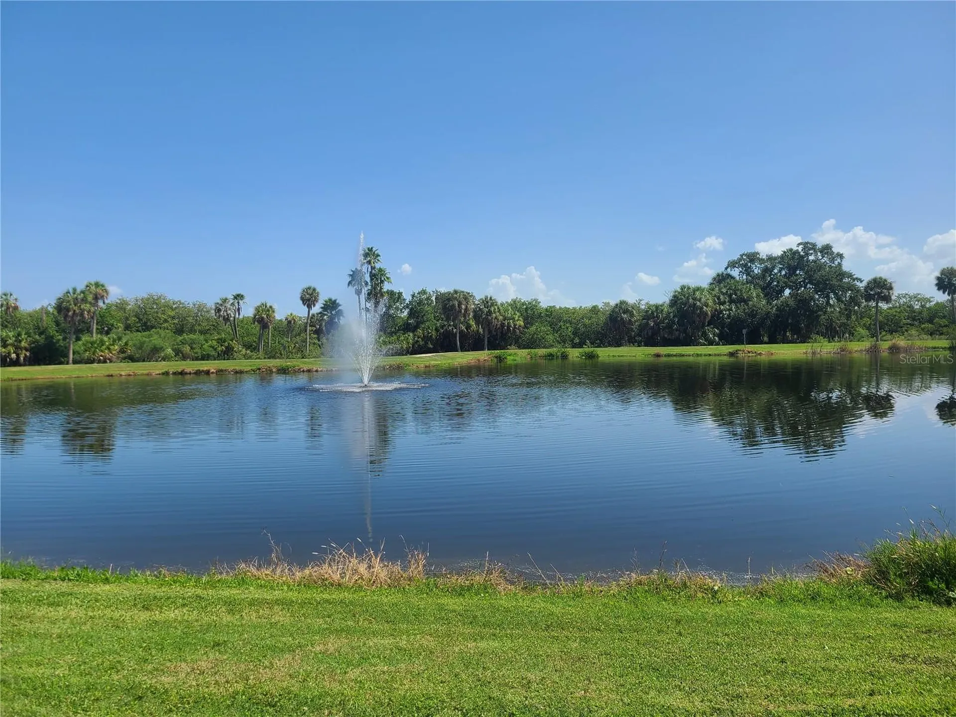 1008 Hawkins Street Clearwater FL 33756