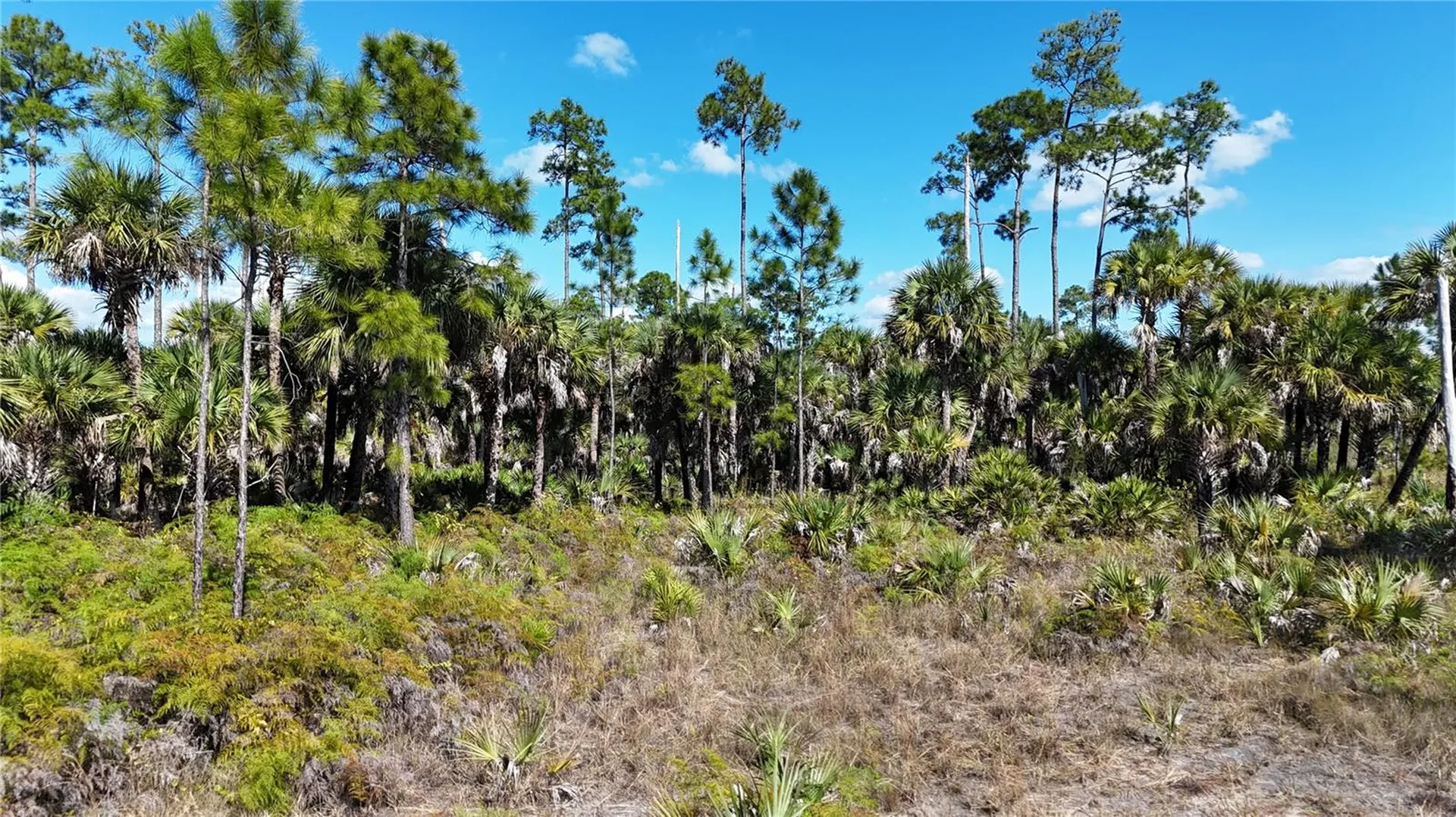 Na Naples FL 34117