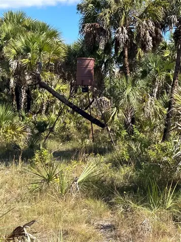 Na Naples FL 34117