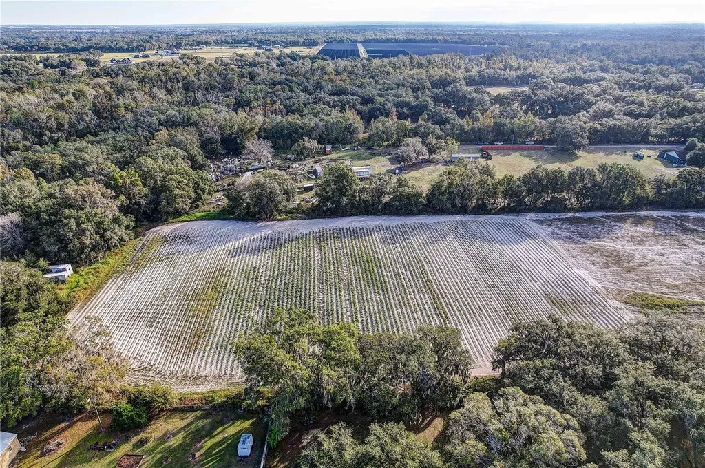 4822 Nesmith Road Plant City FL 33567