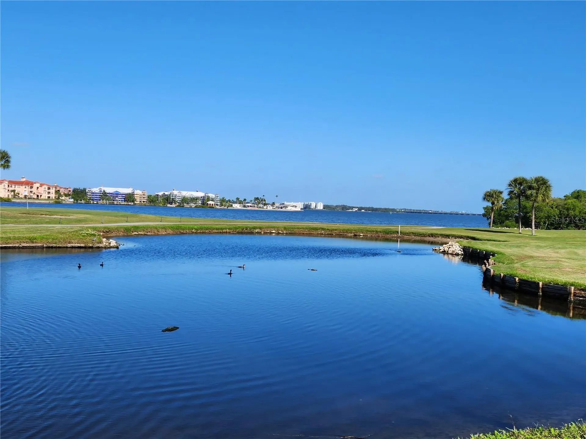 2620 Cove Cay Drive Clearwater FL 33760