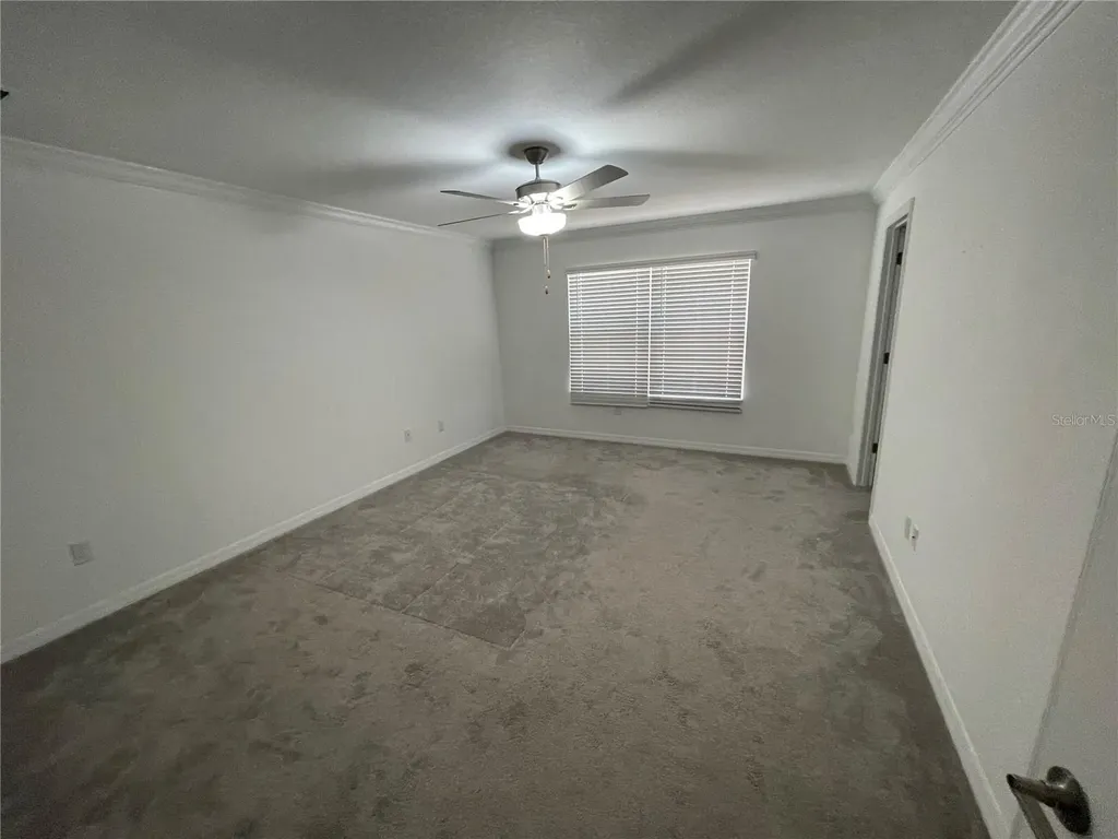30681 Veridian Way Wesley Chapel FL 33543