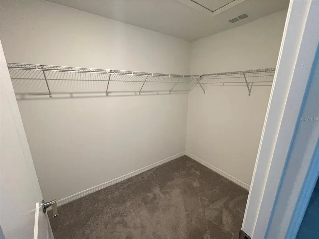 30681 Veridian Way Wesley Chapel FL 33543