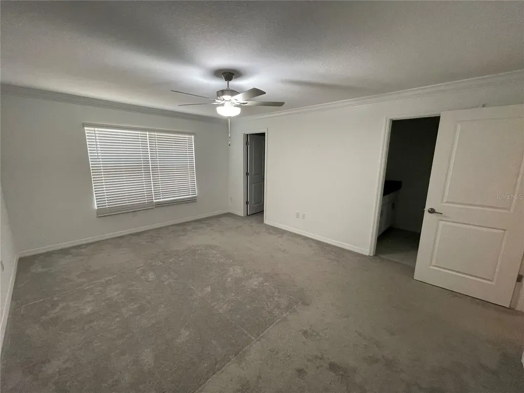 30681 Veridian Way Wesley Chapel FL 33543