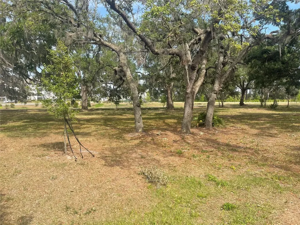 30681 Veridian Way Wesley Chapel FL 33543