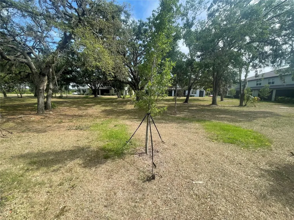 30681 Veridian Way Wesley Chapel FL 33543