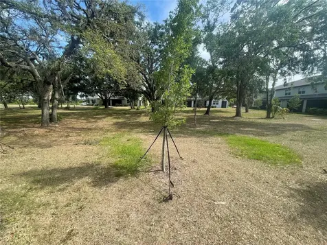 30681 Veridian Way Wesley Chapel FL 33543