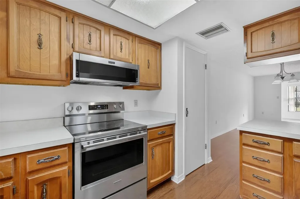 110 N Tremain Street Mount Dora FL 32757