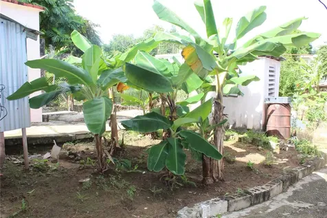 19 Calle Coral Vieques PR 00765