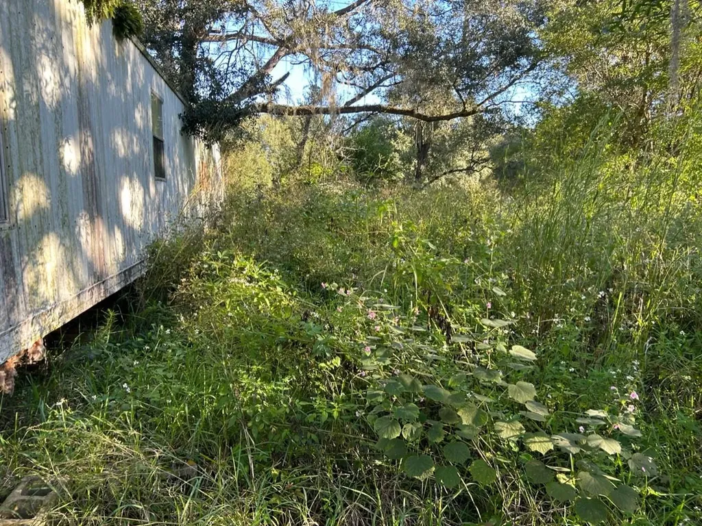 39249 Lizabeth Circle Zephyrhills FL 33542