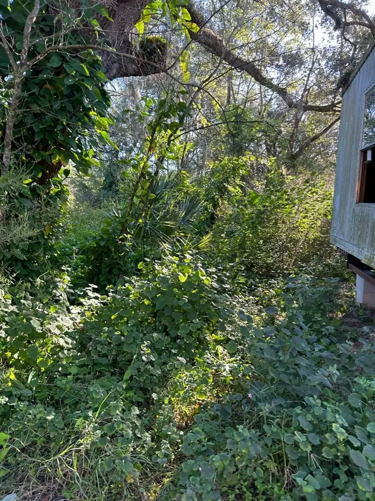 39249 Lizabeth Circle Zephyrhills FL 33542
