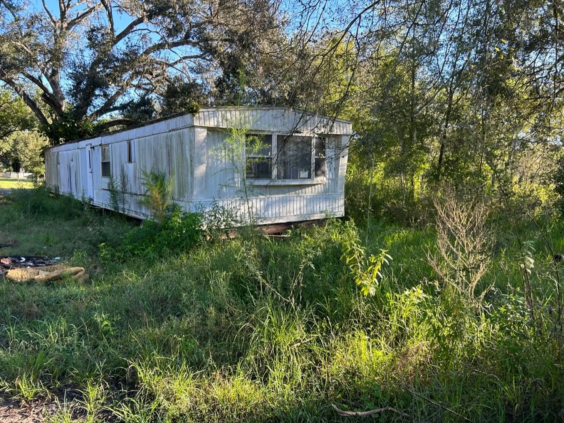39249 Lizabeth Circle Zephyrhills FL 33542