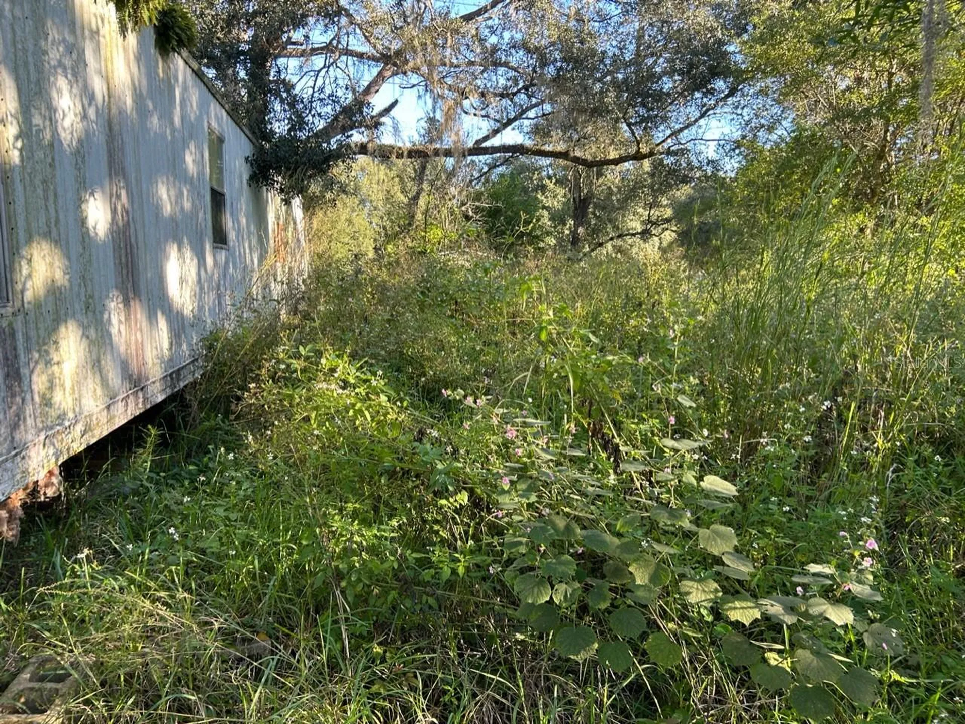 39249 Lizabeth Circle Zephyrhills FL 33542