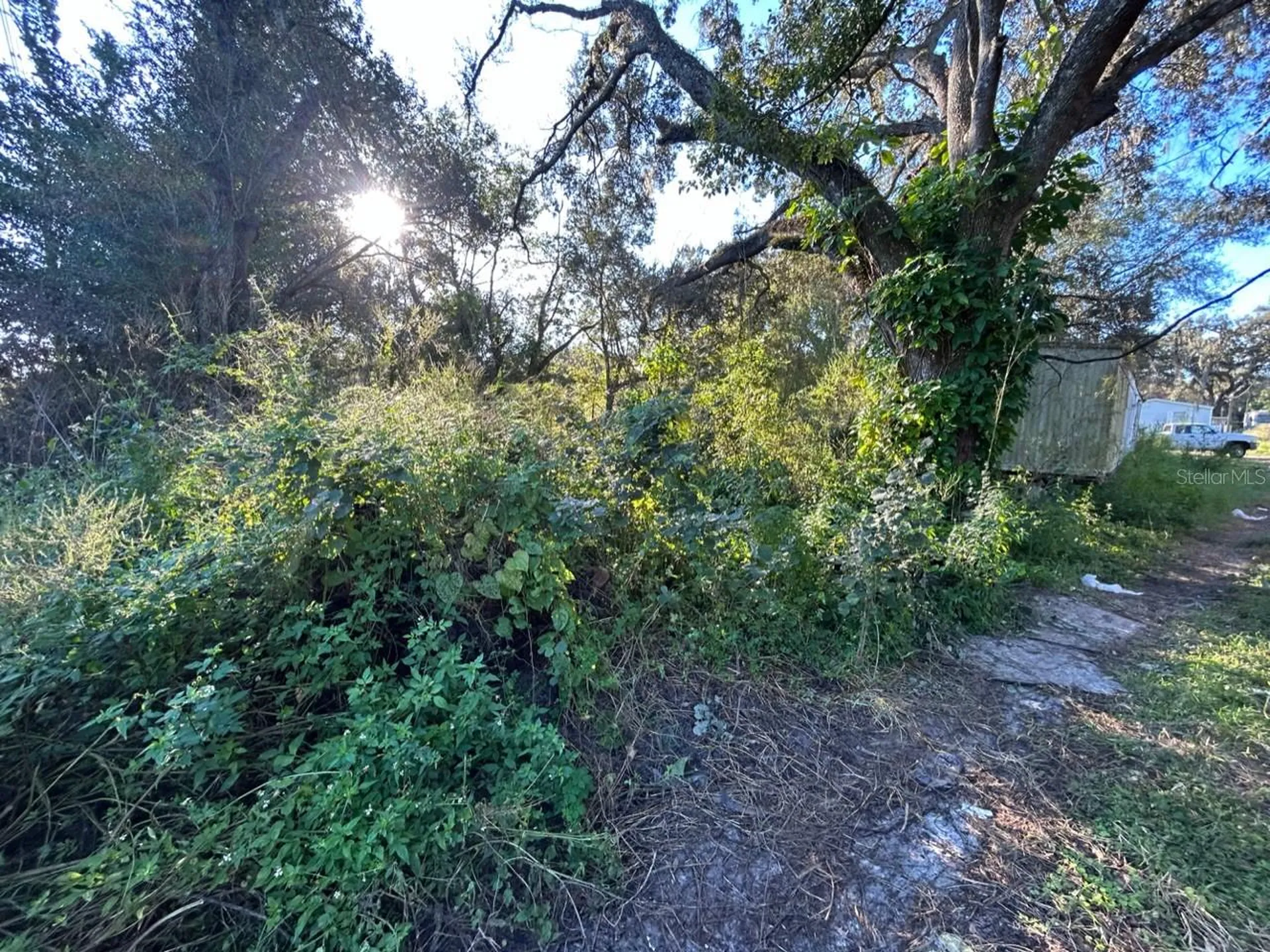 39249 Lizabeth Circle Zephyrhills FL 33542