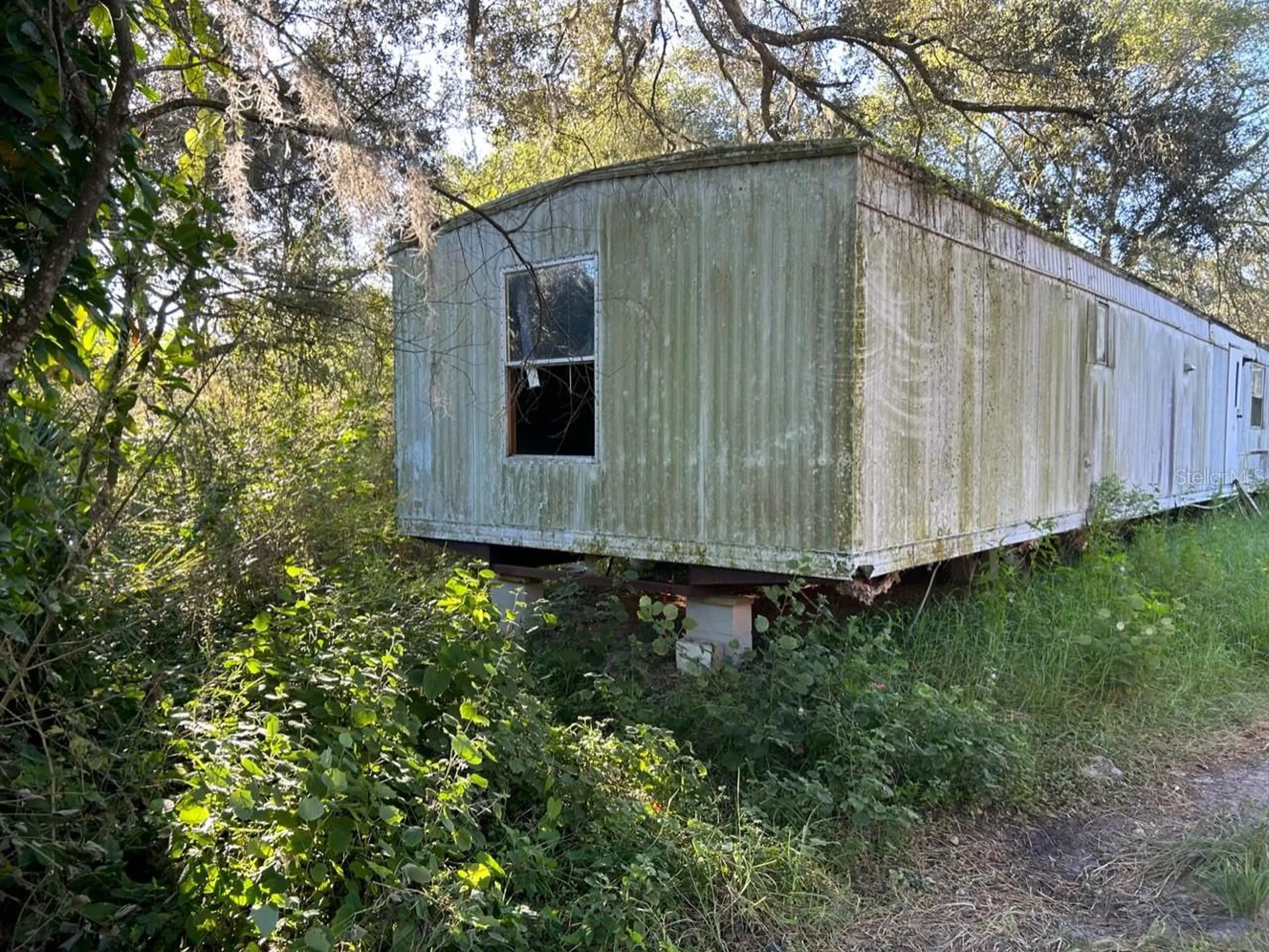 39249 Lizabeth Circle Zephyrhills FL 33542