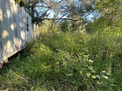 39249 Lizabeth Circle Zephyrhills FL 33542