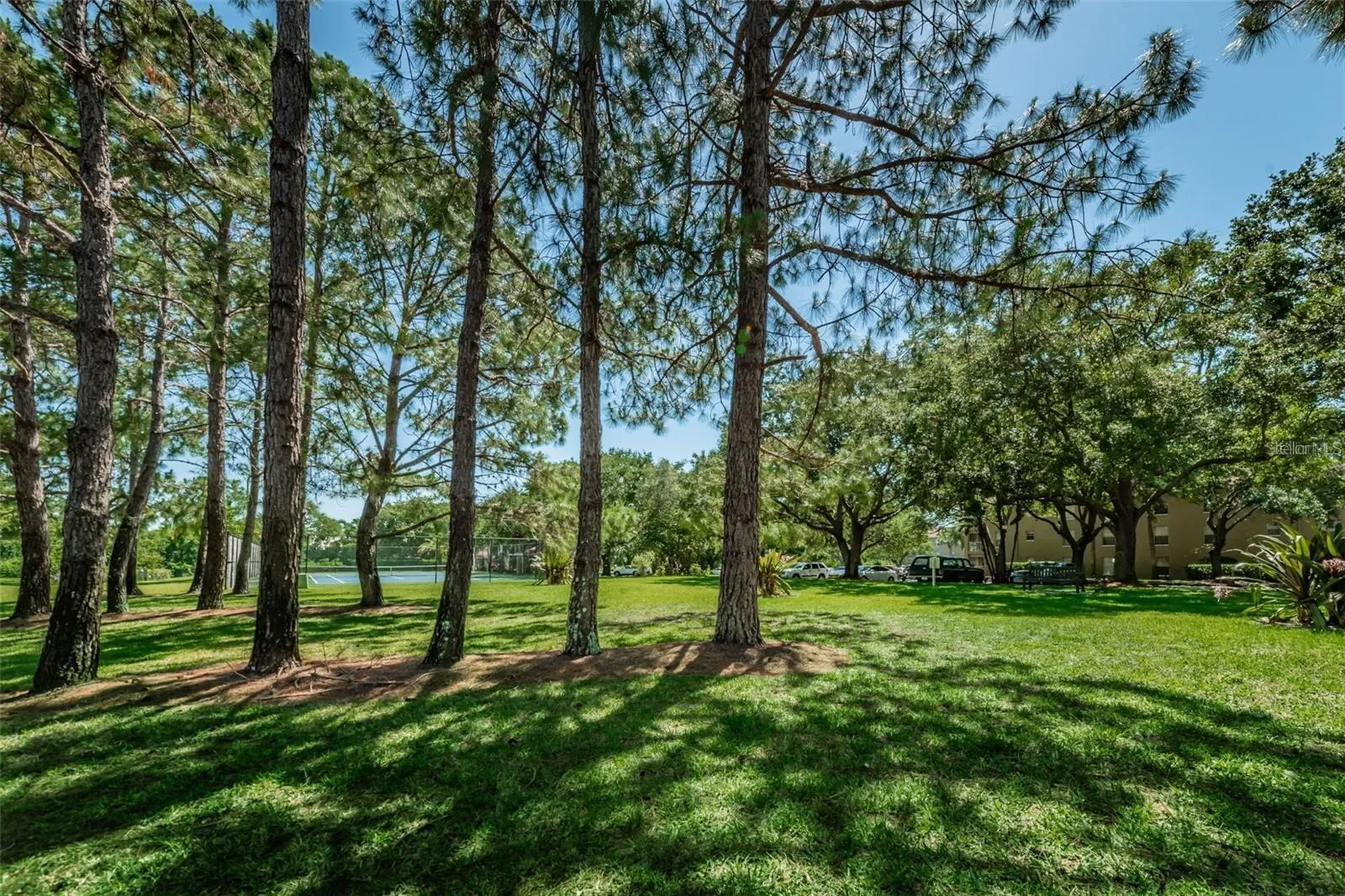 2690 Coral Landings Boulevard Palm Harbor FL 34684