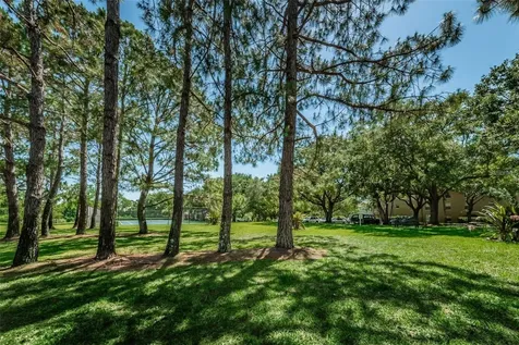 2690 Coral Landings Boulevard Palm Harbor FL 34684
