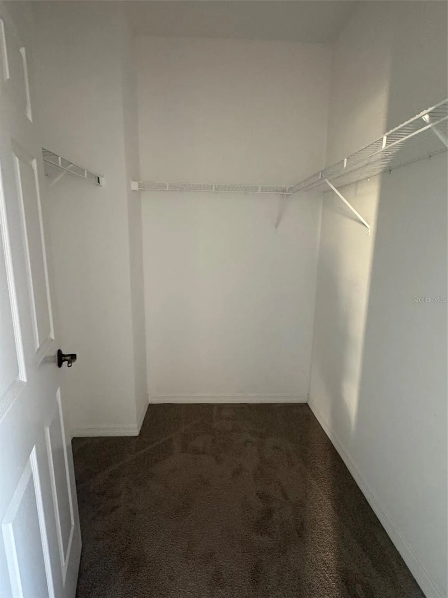 9548 Orange Valley Court Tampa FL 33618