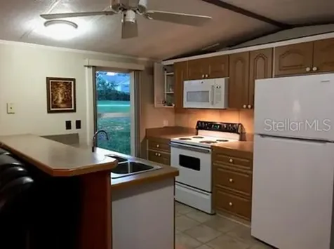 25624 Madison Street Astatula FL 34705