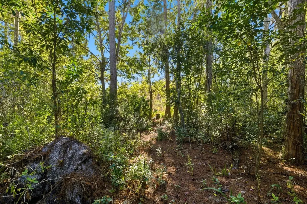 0 Moon Lake Circle New Port Richey FL 34654