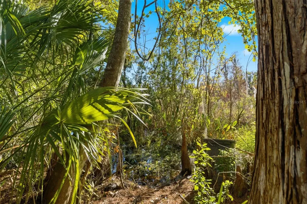 0 Moon Lake Circle New Port Richey FL 34654