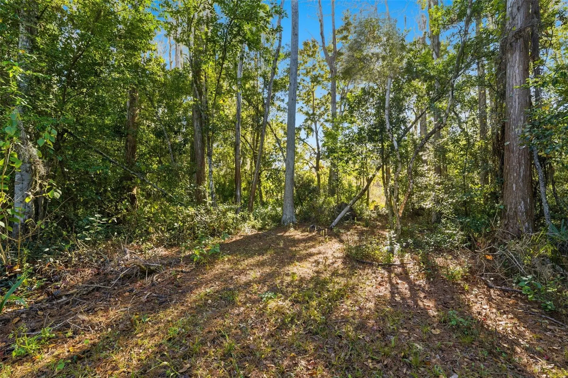 0 Moon Lake Circle New Port Richey FL 34654