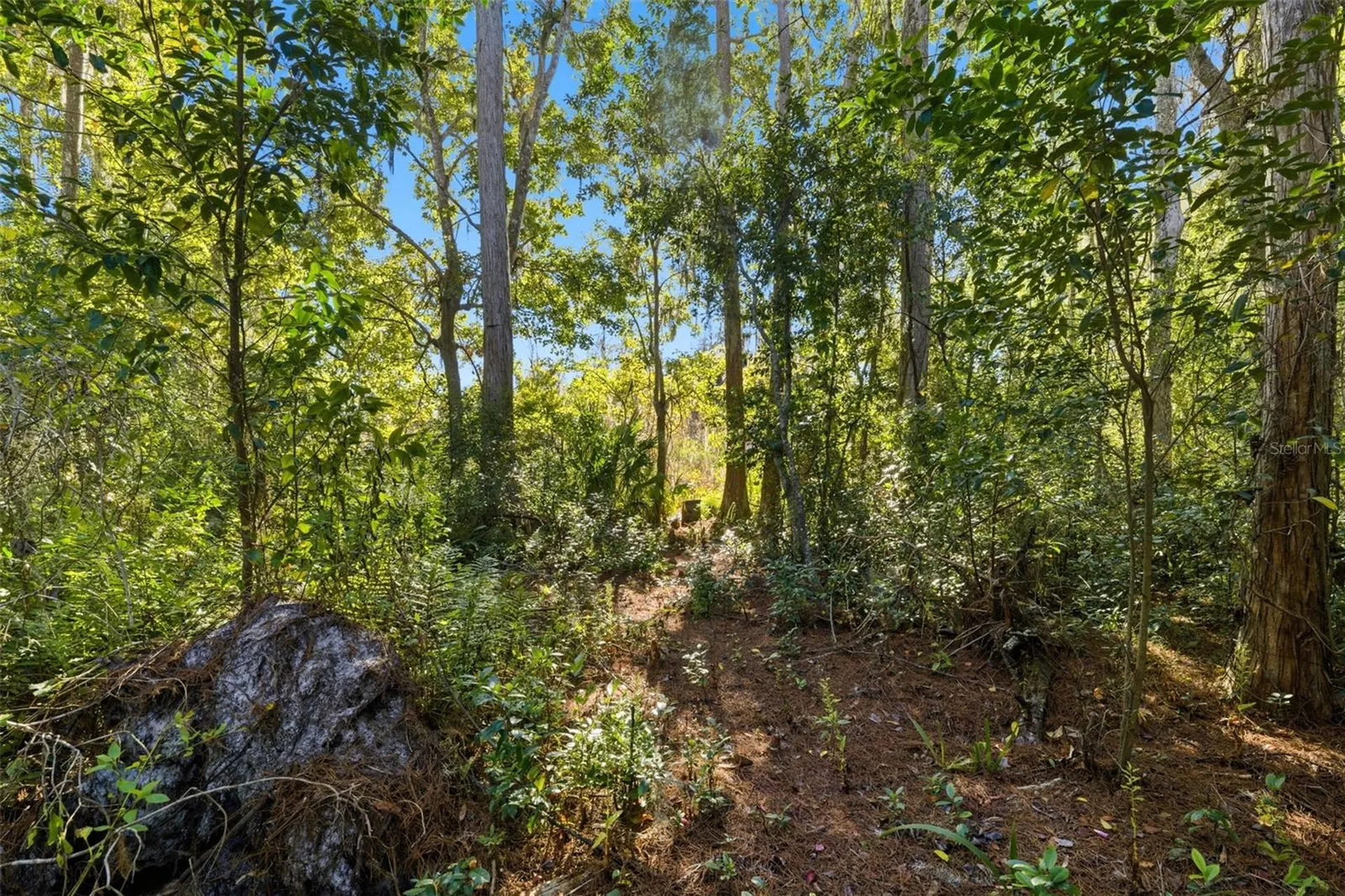 0 Moon Lake Circle New Port Richey FL 34654