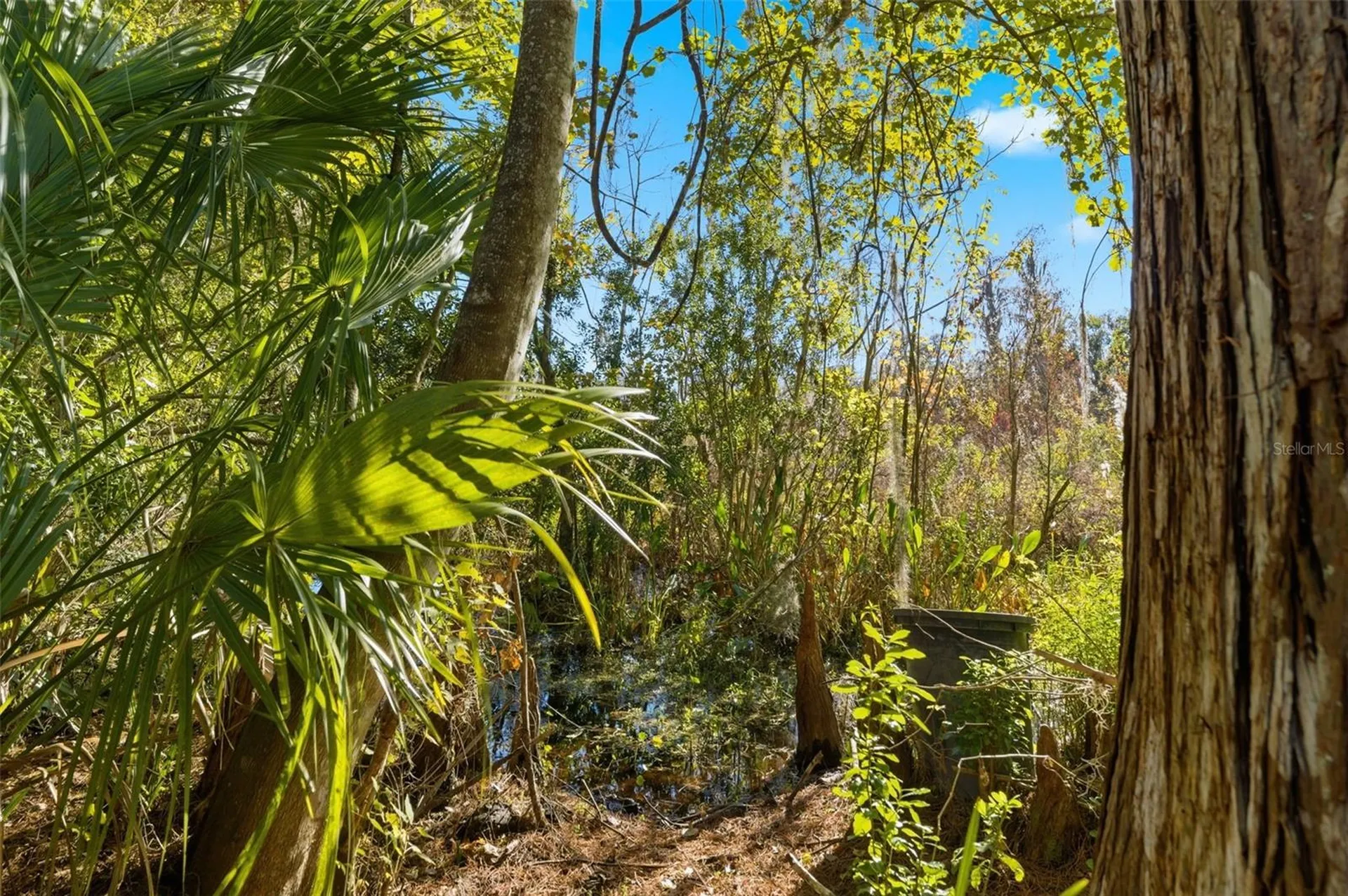 0 Moon Lake Circle New Port Richey FL 34654
