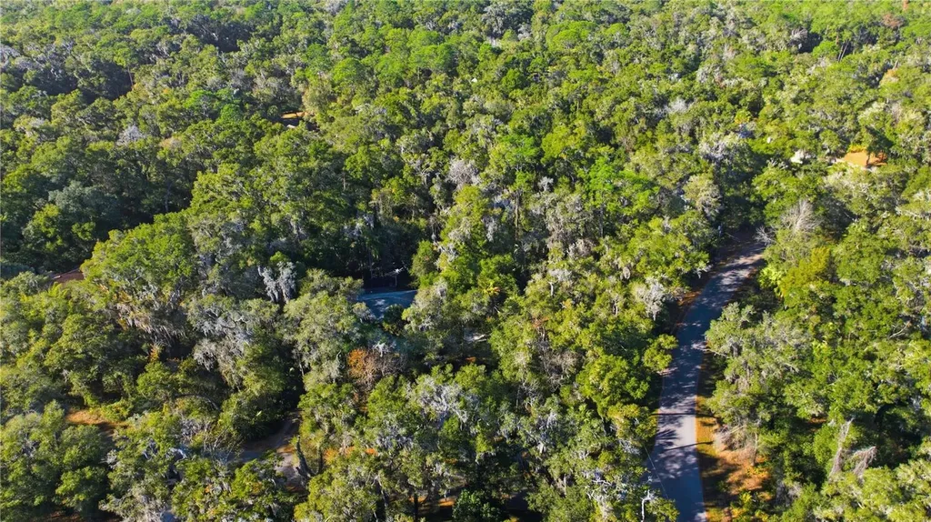 7999 SW 187th Avenue Dunnellon FL 34432