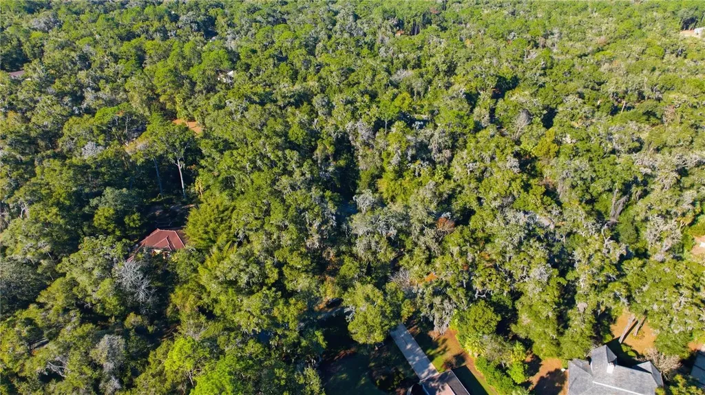 7999 SW 187th Avenue Dunnellon FL 34432