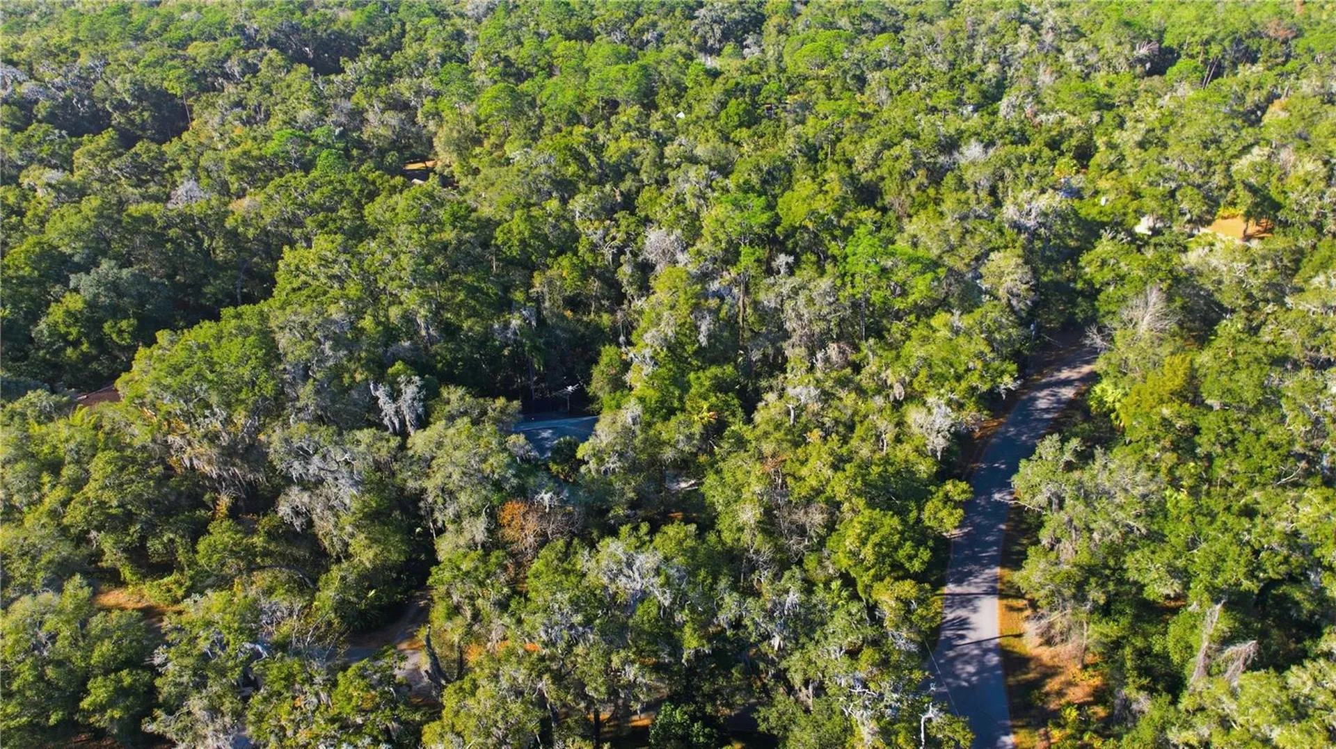 7999 SW 187th Avenue Dunnellon FL 34432