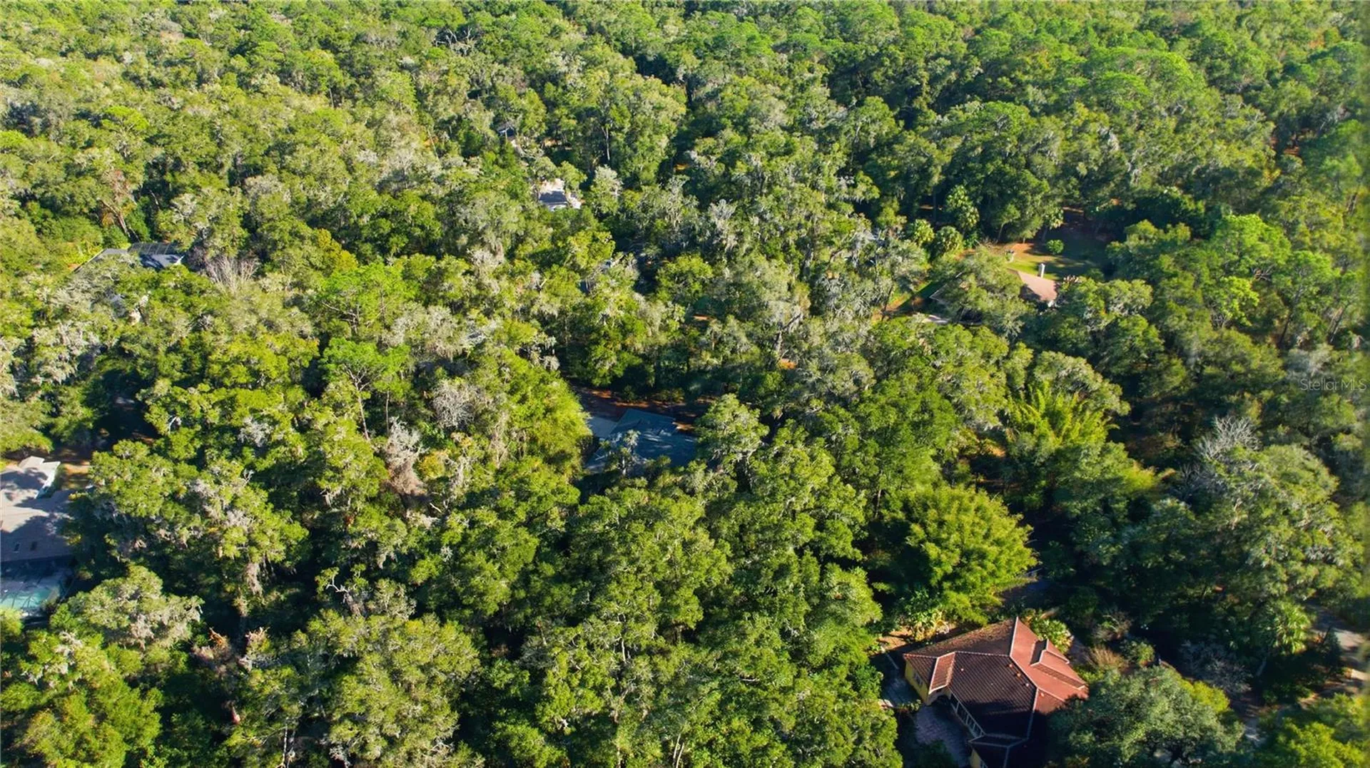 7999 SW 187th Avenue Dunnellon FL 34432