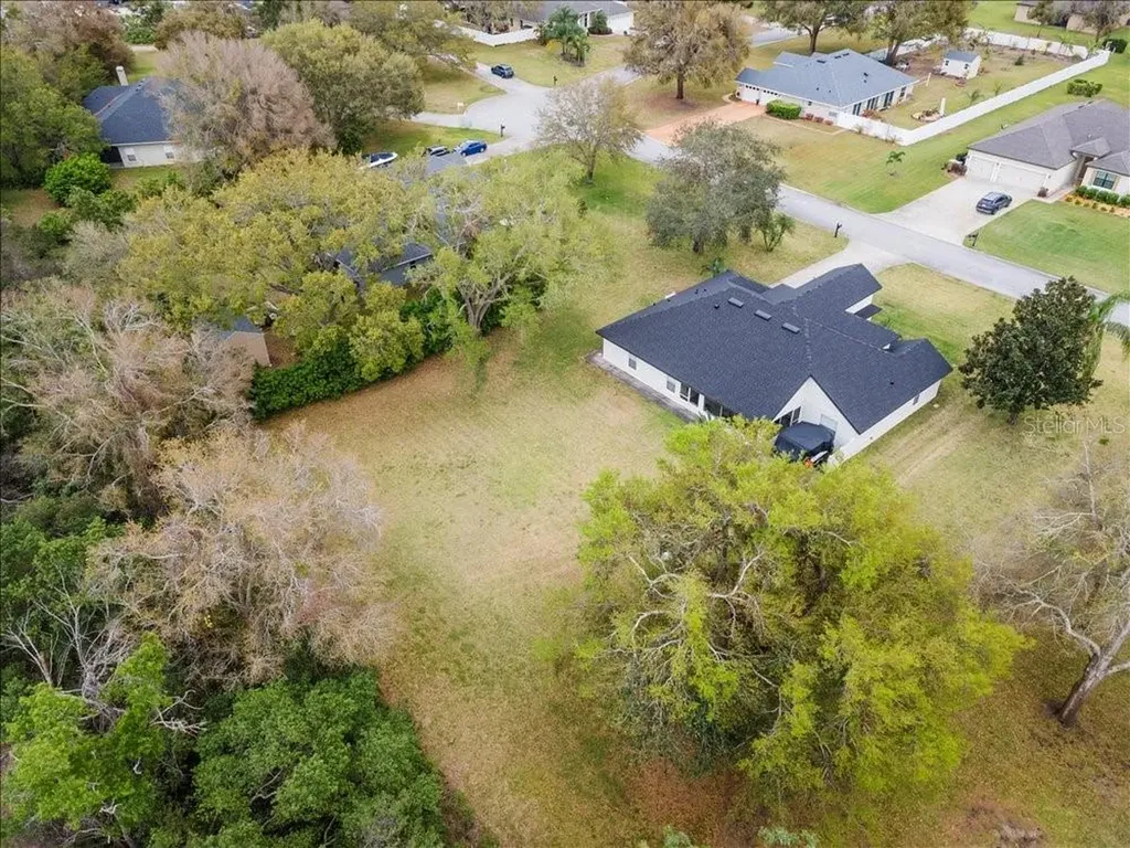 30912 Fairvista Drive Tavares FL 32778
