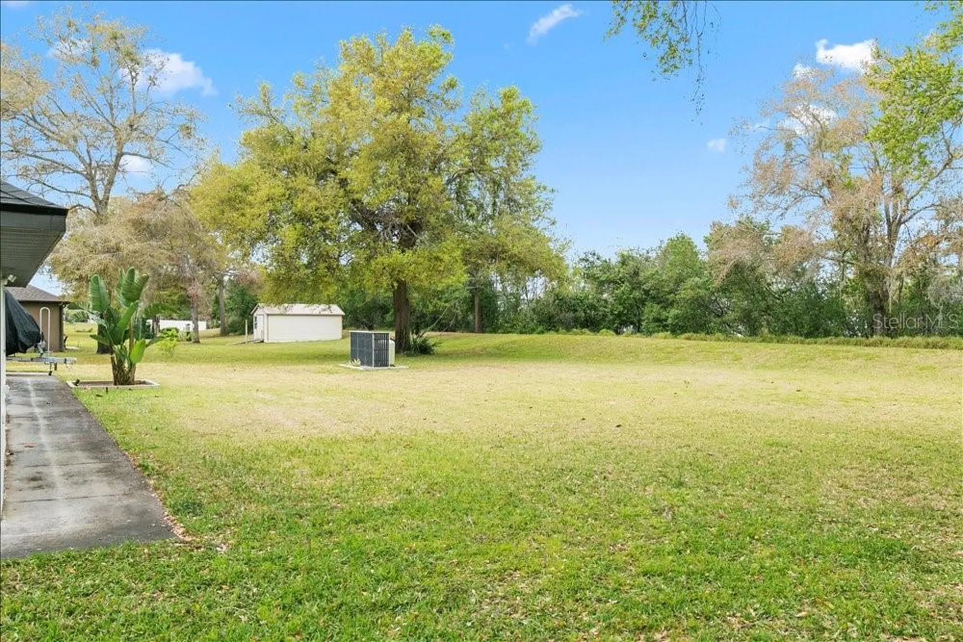 30912 Fairvista Drive Tavares FL 32778