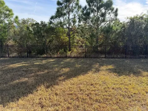 6204 Colmar Place Apollo Beach FL 33572