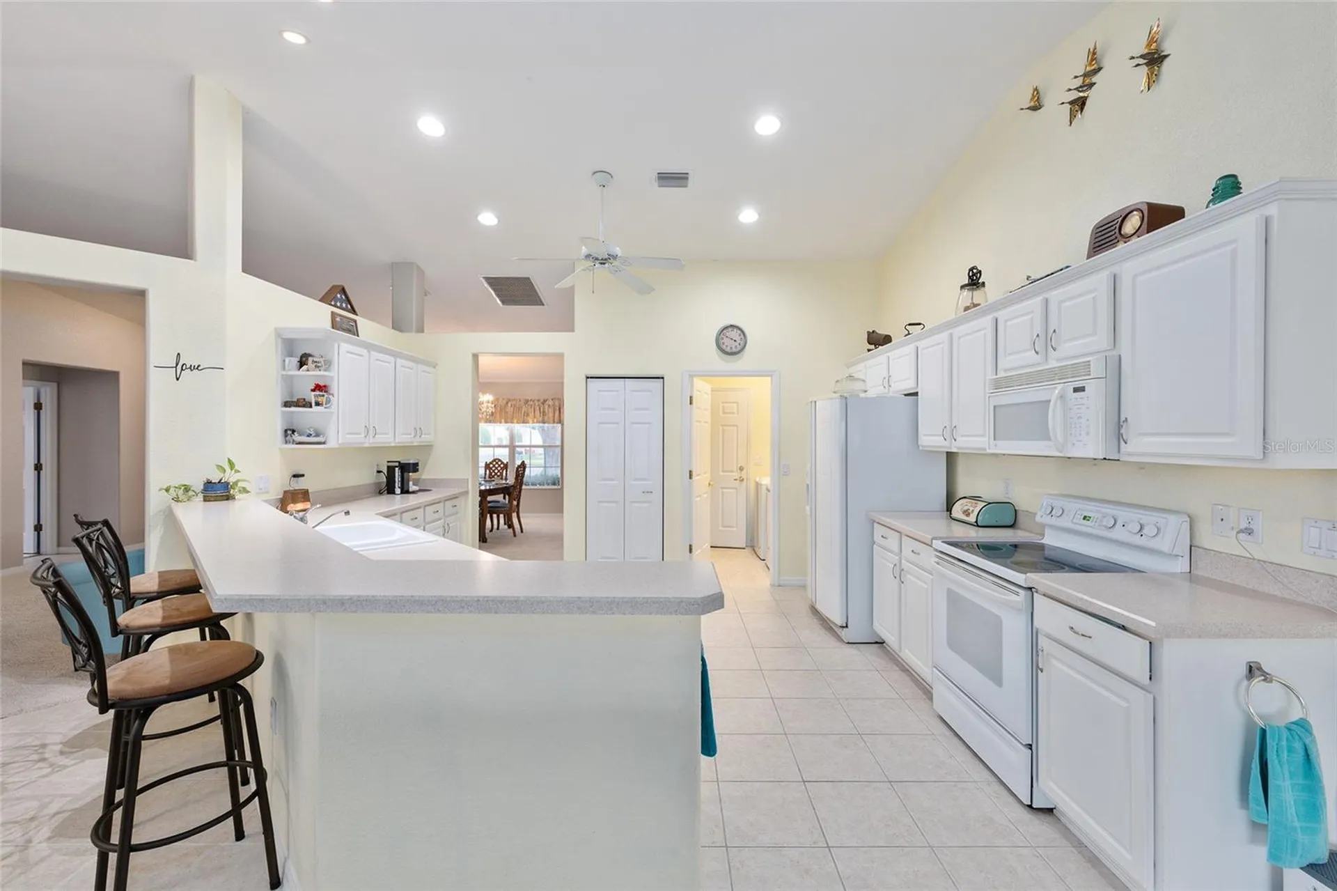 8789 SE 136th Lane Summerfield FL 34491