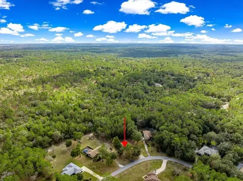 21595 SW 84th Loop Dunnellon FL 34431