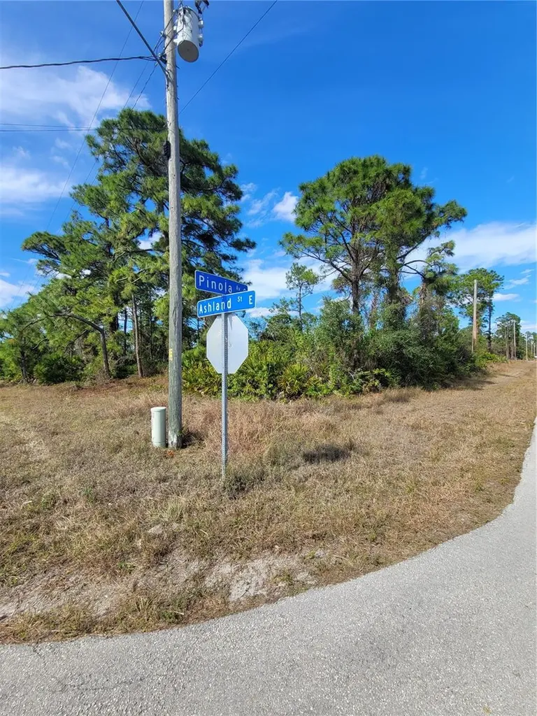 236 Pinola Avenue S Lehigh Acres FL 33974